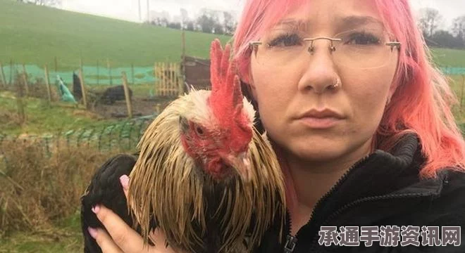 英国女子创意行为，为鸡织套头衫过冬，引发网友热议—技巧和方法的探讨