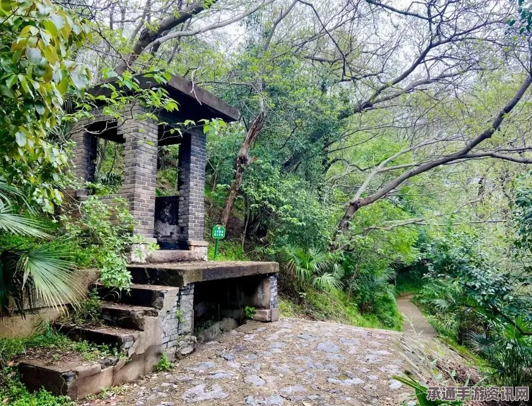 崩坏星穹铁道2.1行于流逝的岸抽取建议，掌握技巧，明智选择角色