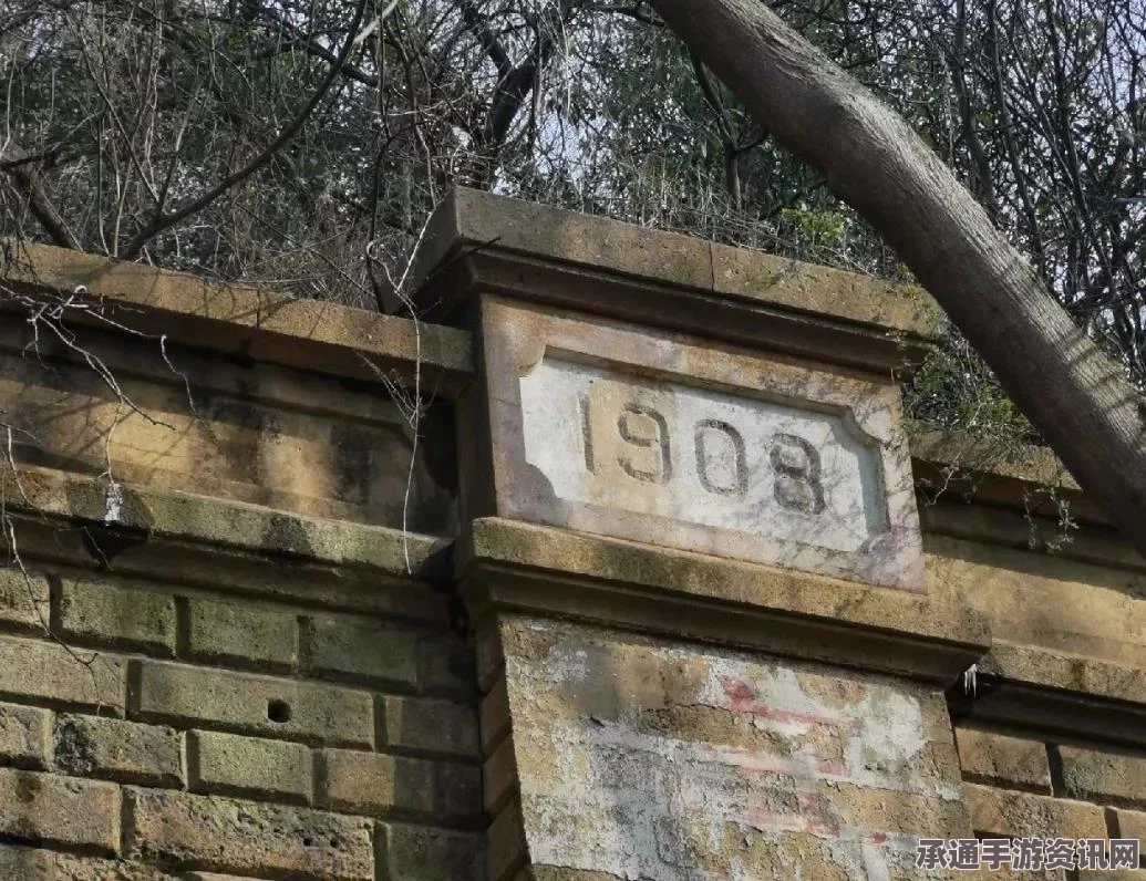 崩坏星穹铁道2.1行于流逝的岸抽取建议，掌握技巧，明智选择角色