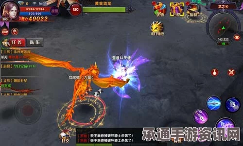 圣兽之王精灵弓手职业全方位解析与实战技巧探讨