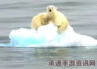 全球暖化导致北极海冰溶解，北极熊生存挑战与应对策略
