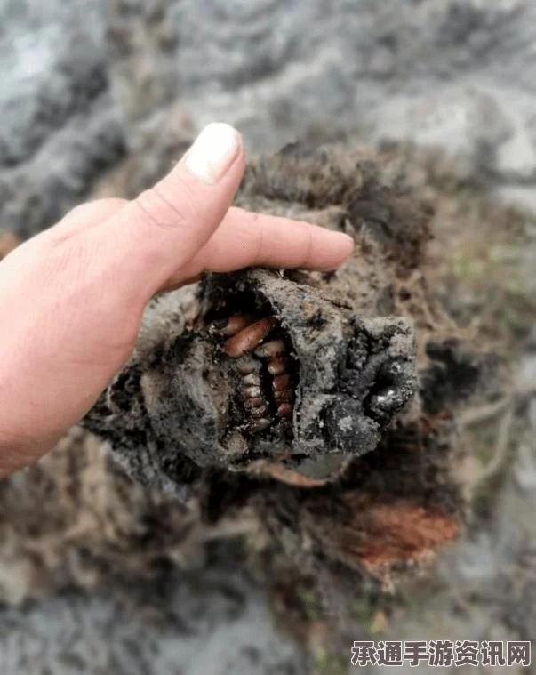 揭秘冰封万年西伯利亚狮子尸体的神秘面纱，古生物保护与展示技巧探索（组图）