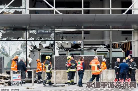 法国暴恐袭击事件深度揭秘，自杀式袭击者身份确认及应对技巧探讨（附图详解）