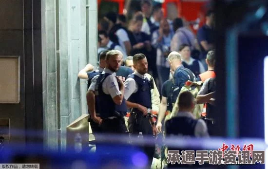 法国暴恐袭击事件揭秘，自杀式袭击者身份确认与应对技巧探讨（附图）