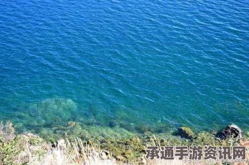 七日杀游戏身体缺水问题全面解析与解决方案探讨