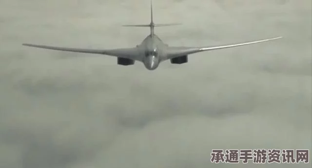 俄罗斯战略轰炸机群打击IS画面曝光，深度解析与技巧方法探讨
