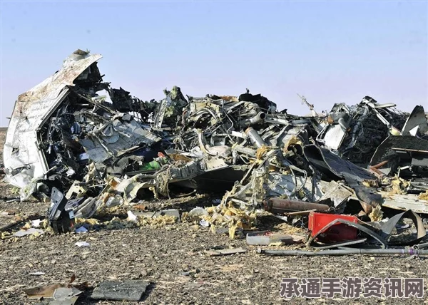 IS组织炸弹袭击俄客机幕后揭秘，揭秘照片背后的故事与应对技巧