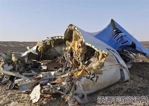 揭秘IS组织发布疑似袭击俄客机炸弹照片的背后故事与技巧方法