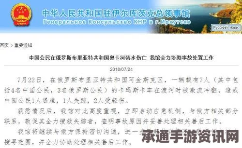 中国公民柳安禹在巴黎住所去世，公告内容（全文）及相关技巧方法详解