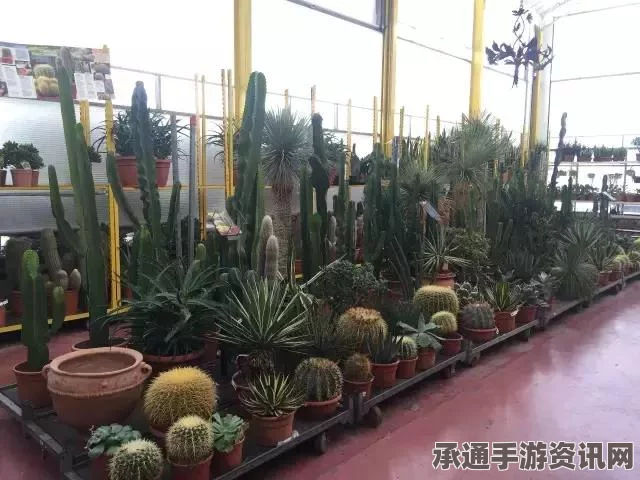 外媒爆料，IS组织发布视频威胁法国，未来或将发动更多袭击—深度解析与应对策略