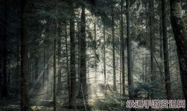 揭秘森林地面诡异呼吸现象，飓风袭击后的神秘秘密解析