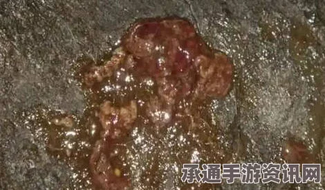 七日杀痢疾效果及处理方法详解，生存技巧大揭秘