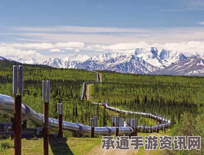 奥巴马否决输油管道项目决策深度解析，背后的技巧与方法探讨