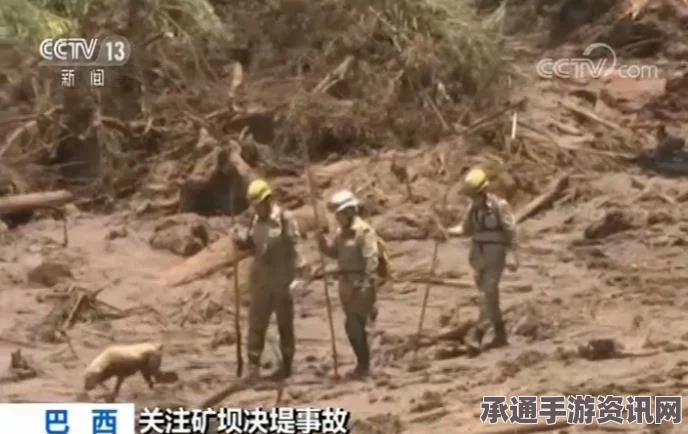 巴西矿区溃坝事故最新消息，灾难之下的人道救援与应对技巧方法