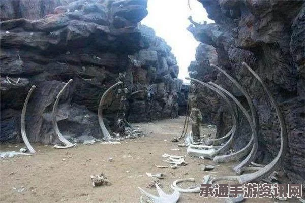 CF五个传说女帝，压迫感下的战术解析与应对策略