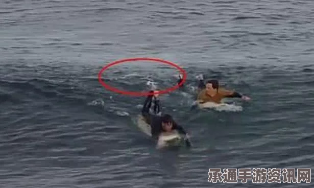 洛杉矶海滩遭遇巨型鲨鱼袭击，冲浪者的安全挑战与应对策略