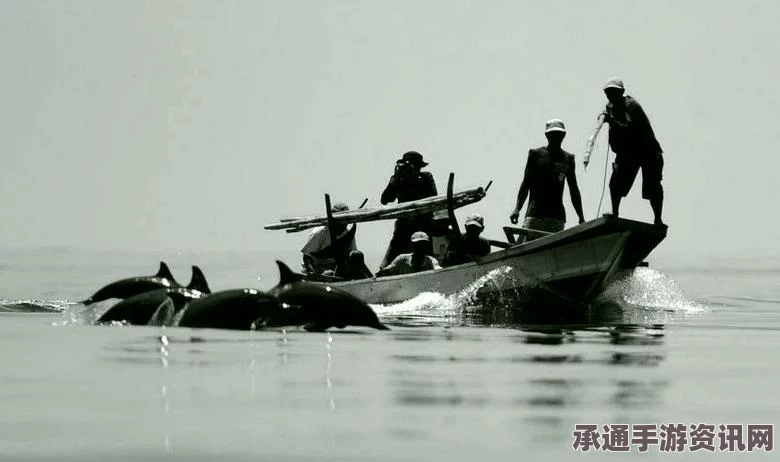 日捕鲸协会主席谈鲸鱼保护与食用，方法与问答分享