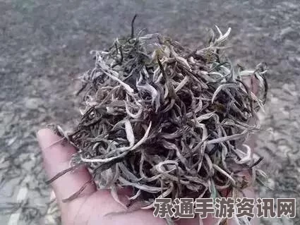 分层零游戏陷阱技能使用方法介绍