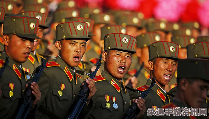 金正恩执政时期阅兵新武器亮相揭秘，深度分析与观察技巧探讨