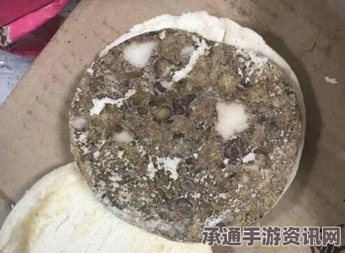 新星漂移骑士比武攻略大全，技巧、方法全解析