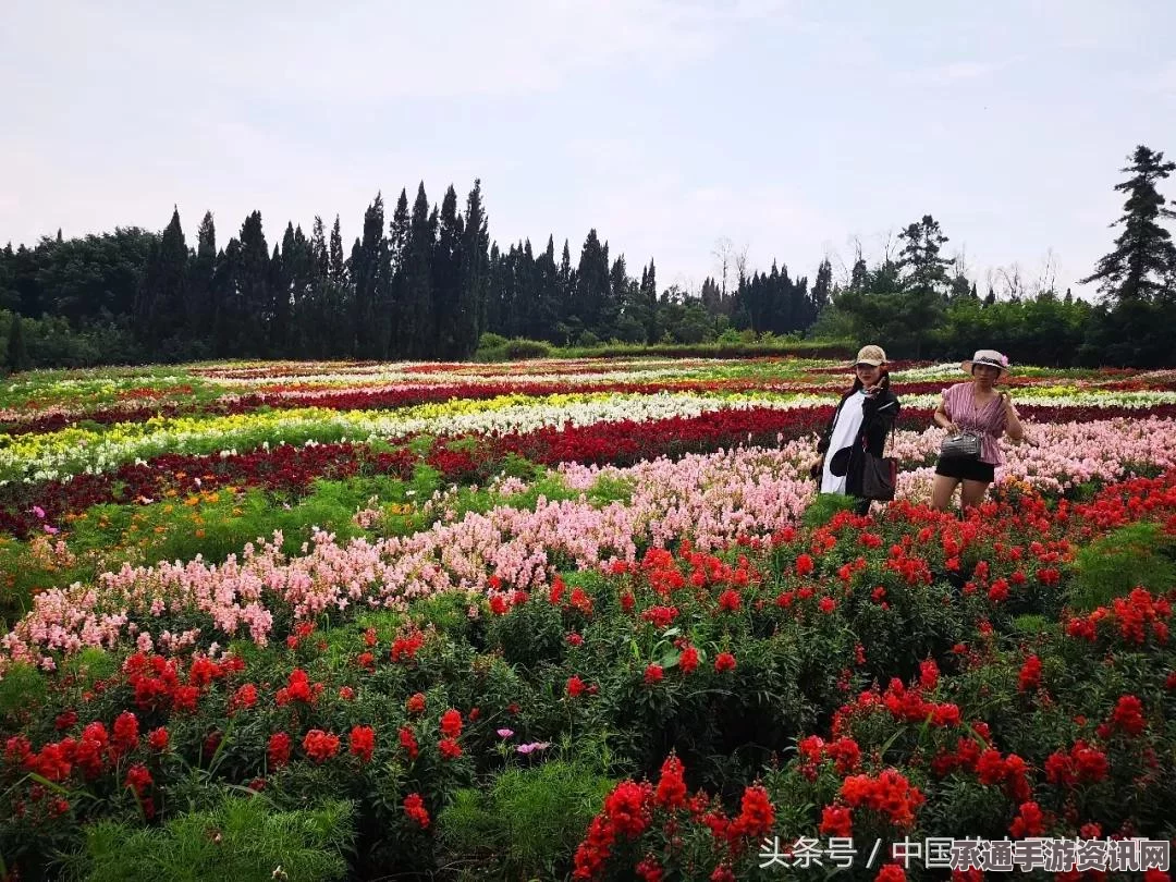 奇迹暖暖一月更新揭秘，云巅盛景套装登场与攻略技巧汇总