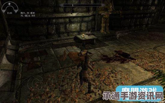 上古卷轴5天际重制版MOD使用指南，技巧方法与实用建议