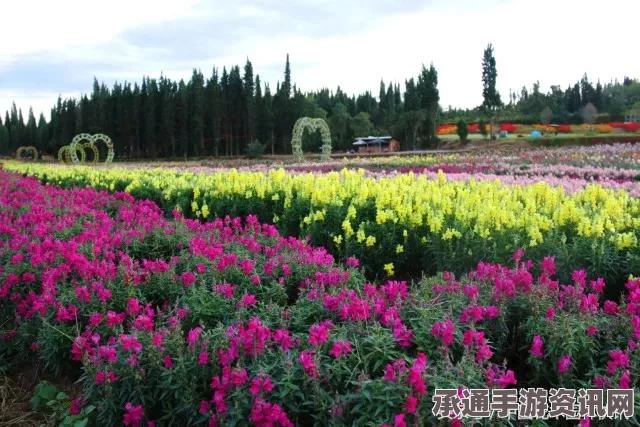 奇迹暖暖新春云巅盛景活动深度解析，五大套装全览与攻略技巧