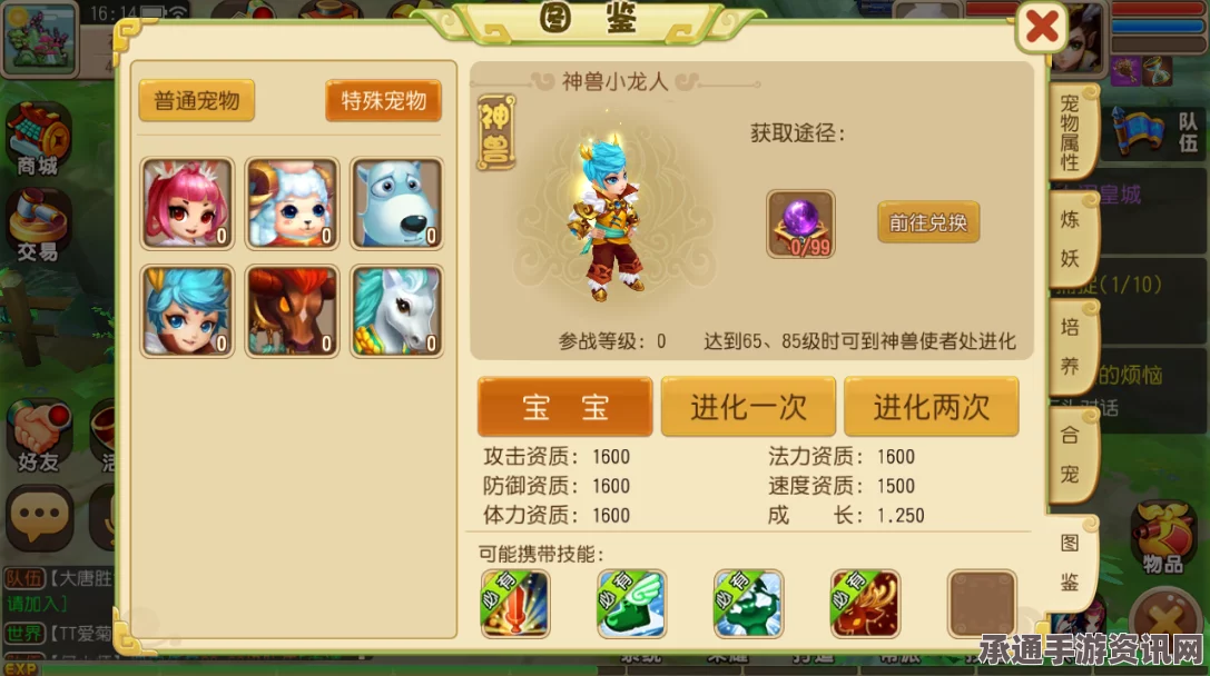 圣兽之王，全方位配装攻略与实用技巧详解