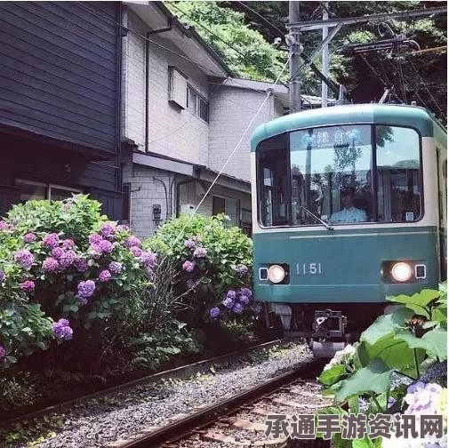 中国买家投资东京房产刷新十年纪录，高价购房策略与技巧揭秘