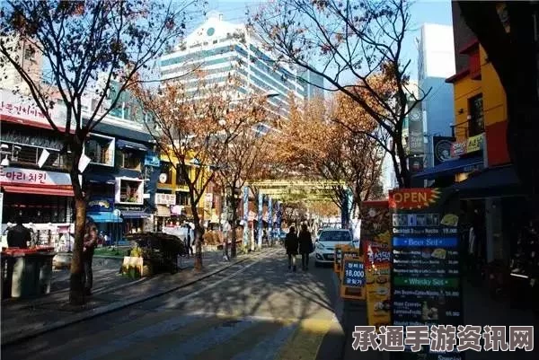韩媒对中国游客行为的误解，韩旅游胜地频现不文明现象解析与应对技巧