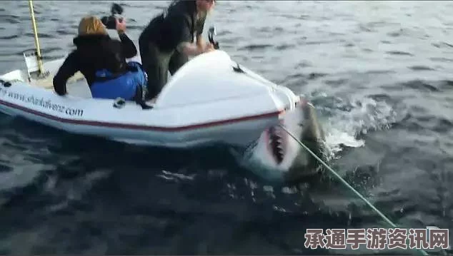 澳大利亚教师捕鱼遭遇巨鲨惊魂瞬间，事件回顾与防范技巧探讨