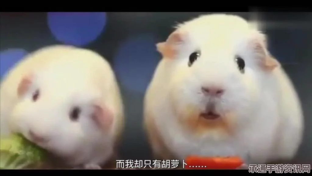 揭秘印尼神秘新物种，猪鼻鼠的独特进化形态及其研究技巧方法（图文报道）