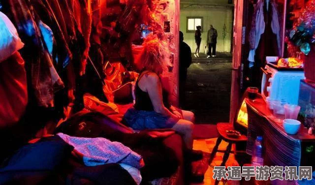 德国取缔非法中国妓院，深度解析与应对技巧