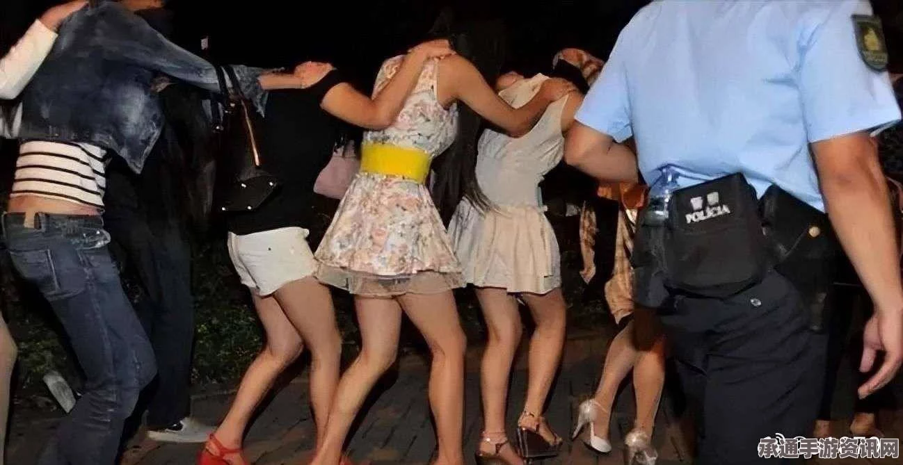 德国取缔非法中国妓院，深度解析与应对技巧