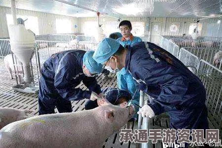 牧野之歌，畜牧帮工使用注意事项与技巧方法分享