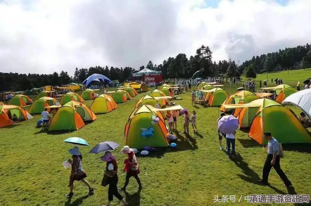 奇迹暖暖，云巅盛景家族选择与攻略技巧深度解析