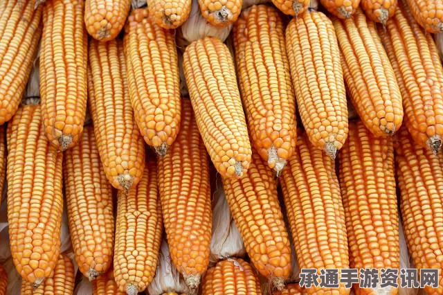 梦幻西游新祥瑞飞天灵鼠详解，技巧与方法
