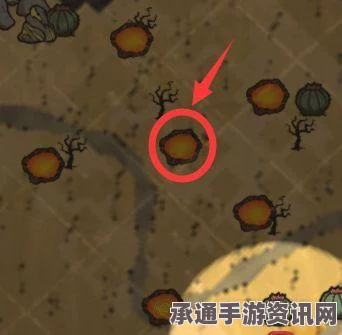 科斯梅特吸引者攻略，群飞奇遇的秘籍与技巧全面解析