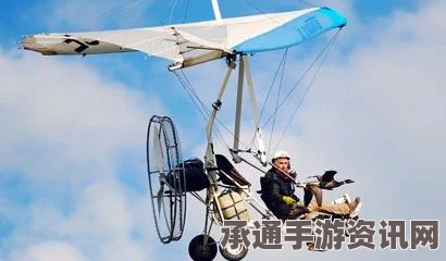群飞奇遇新朋友，如何高效完成？技巧方法详解与问答环节