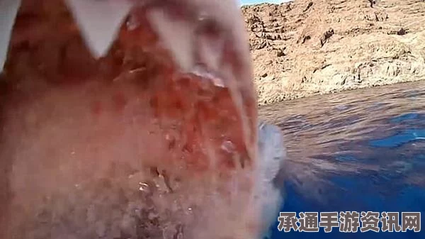 大白鲨自救跃出水面，逃离画面技巧解析与现场图片揭秘