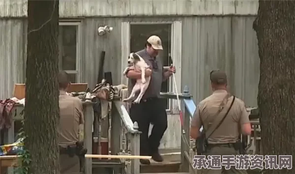 美国少年争狗悲剧，因宠物狗引发的射杀事件，年龄仅11岁男童与8岁女童之间的恩怨冲突