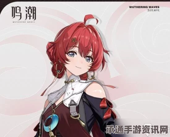 鸣潮丹瑾声骸选择攻略，技巧与方法详解
