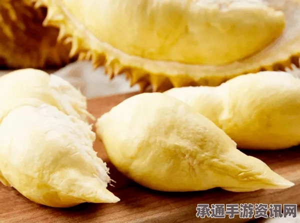 牧野之歌，黄金榴莲芝士饼的制作秘诀与材料大全