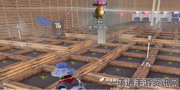 七日世界庞然大菇获取攻略，技巧与方法详解