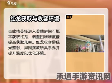 七日世界红龙的获取攻略，技巧方法与实战指南
