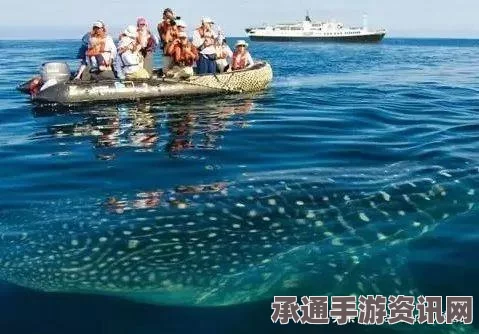 曝BBC火山喷发视频系造假，拍摄真实灾难的困难与技巧