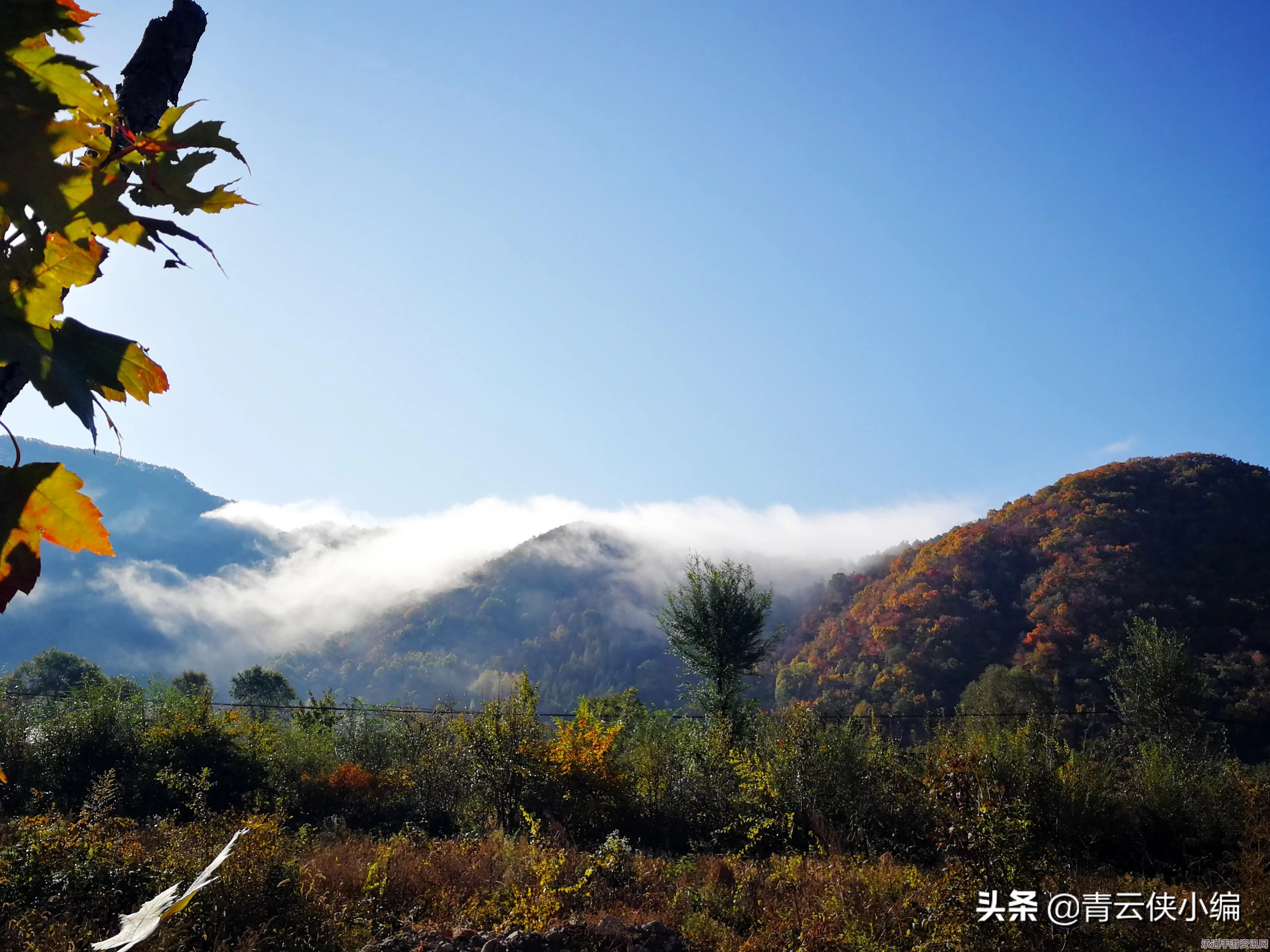 阴阳师，红叶的羁绊—1月13日困难挑战副本详解与技巧方法