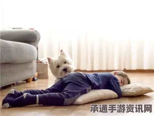 瑜伽垫上的伦理风波，女教授与智障男性的事件深度解析及应对之道