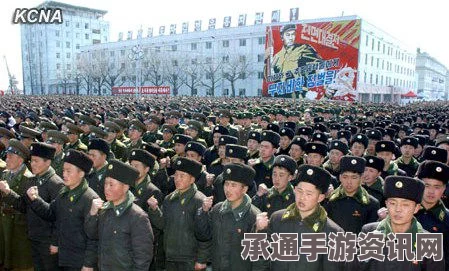 朝鲜外长联大发言，呼吁签署半岛和平协定，方法与技巧详解