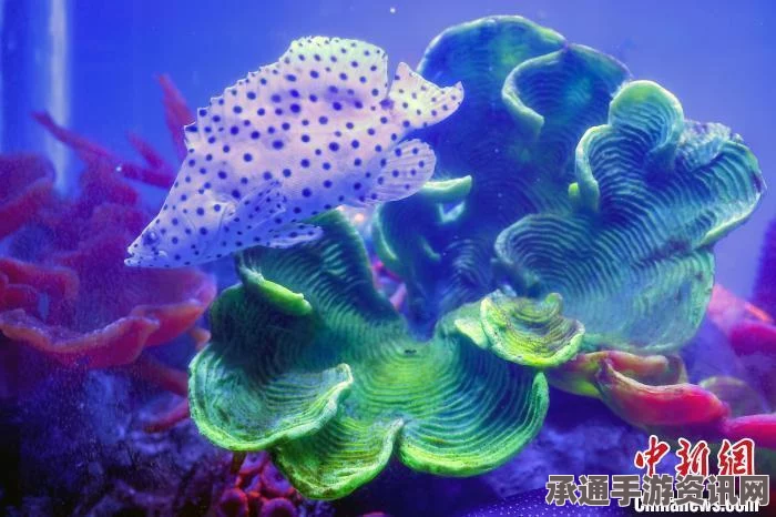 星之海中鱼类多样性的深度探索与探索技巧全解析